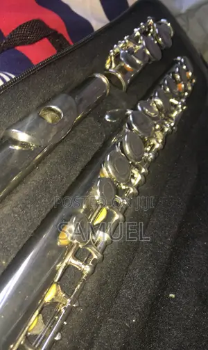 Instrument Flute