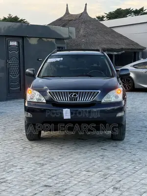 Lexus RX 330 2006 Gray