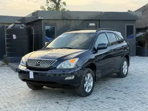 Lexus RX 330 2006 Gray