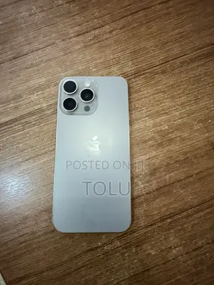 Apple iPhone 15 Pro Max 256 GB Gray