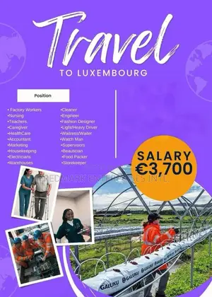 Travel Packages: Schenghen, New Zealand, Serbia, Georgia, UAE, China.