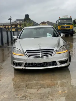 Mercedes-Benz S-Class S 350 BlueTEC (W221) 2010 Silver