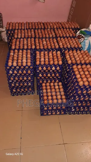 Farm Fresh Eggs