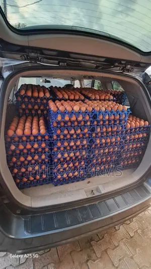 Farm Fresh Eggs