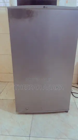 Table Top LG Fridge