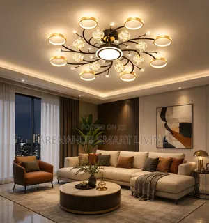 Modern Black Ceiling Chandeliers for Living Room Hall Ceiling Light