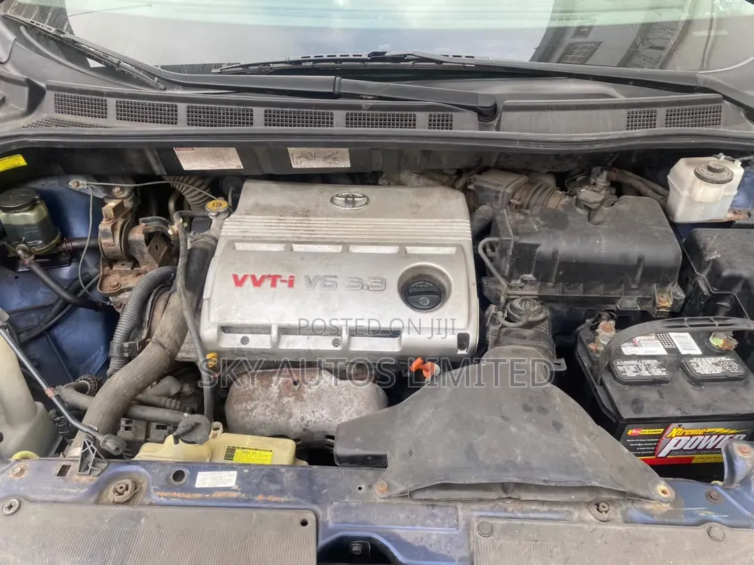 Toyota Sienna 2006 Blue