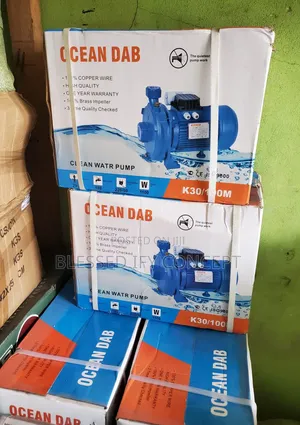 1.5hp Ocean Dab Surface Pump Brass Impeller, 100% Copper Coil