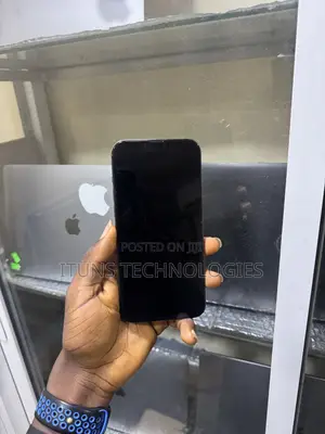 Apple iPhone 13 Pro Max 128 GB Green