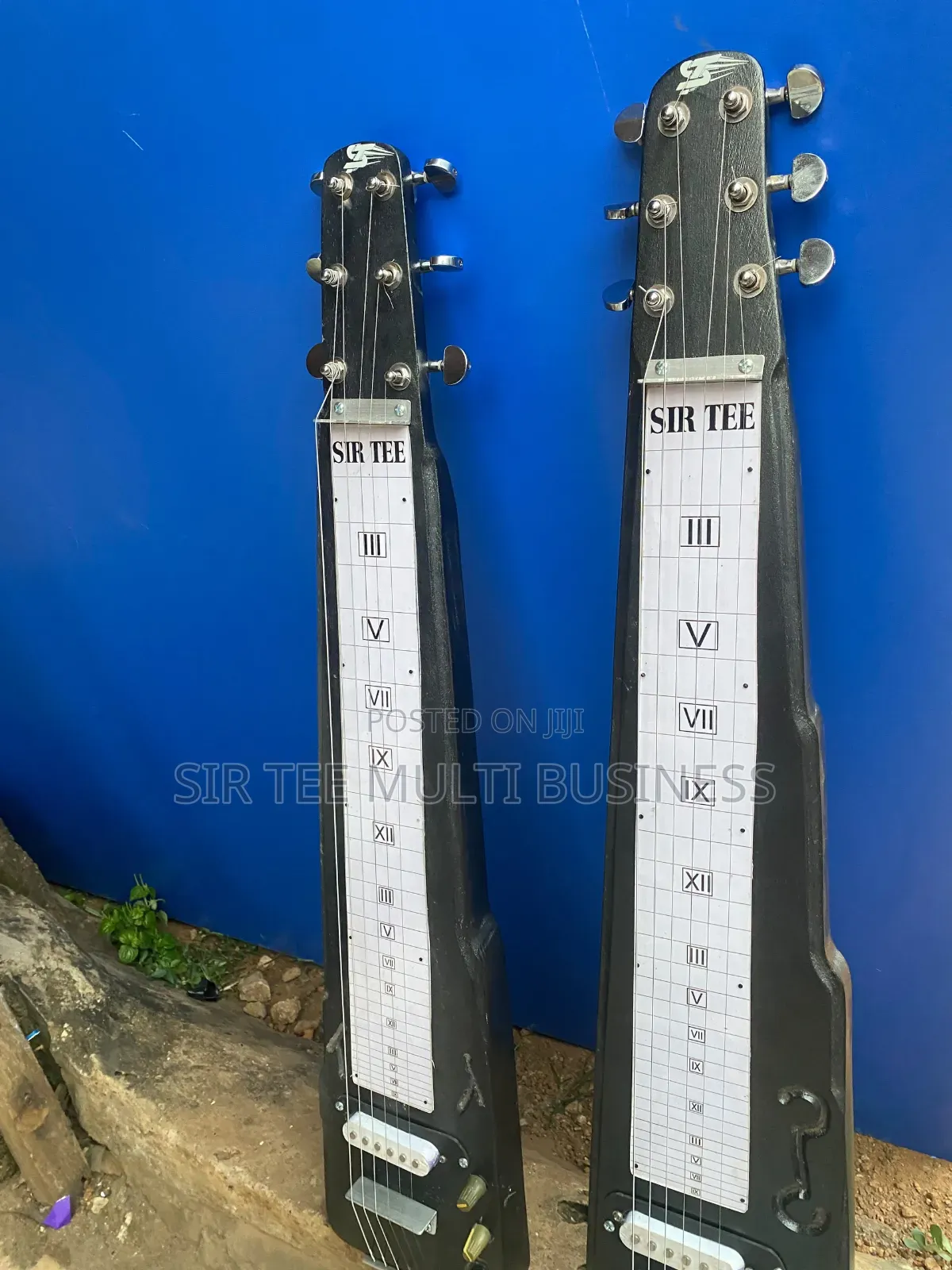 Hawaiian/Lapsteel Guitar
