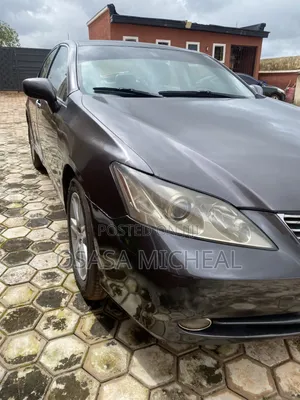 Lexus ES 350 2009 Gray