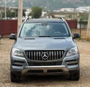 Mercedes-Benz M Class 2014 Gray