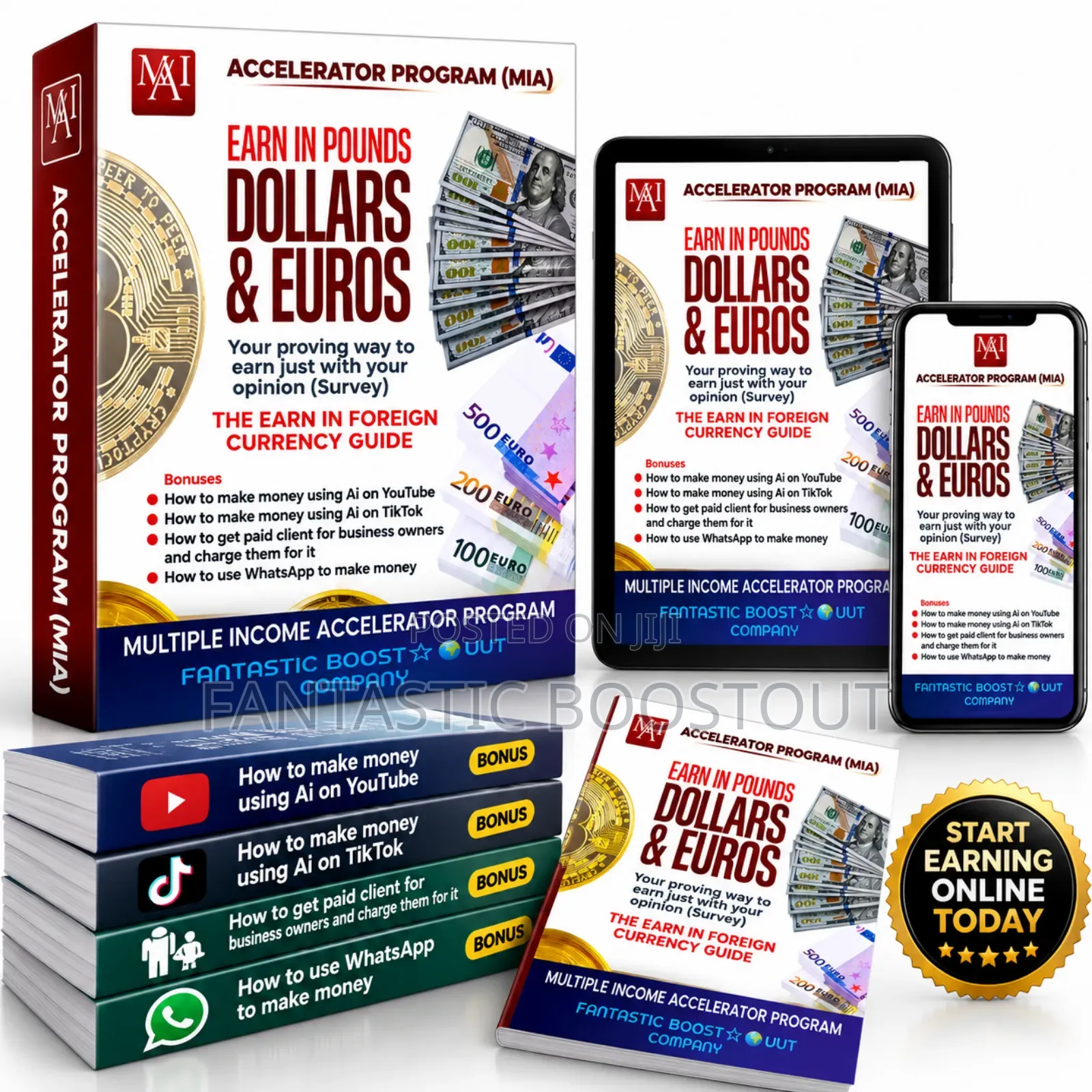 Multiple Income Accelerator Program