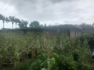 Full Plots Available for Sale Near Umuokiri Junction