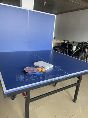Outdoor Table Tennis 🏓