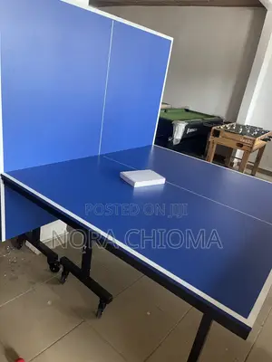 Indoor Table Tennis 🏓