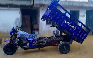 New Tricycle 2026 Blue