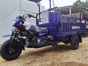 New Tricycle 2026 Blue