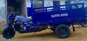 New Tricycle 2026 Blue