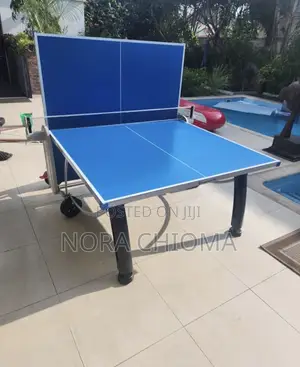 Aluminum Outdoor Table Tennis 🏓 Set