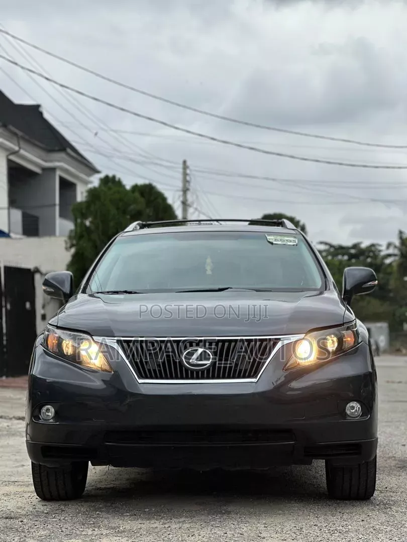 Lexus RX 2011 Gray