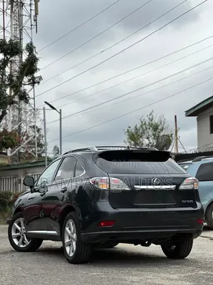 Lexus RX 2011 Gray
