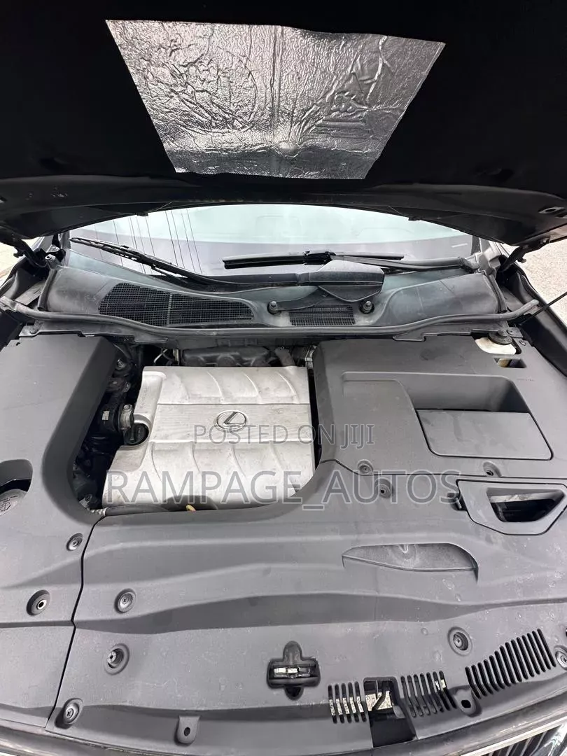 Lexus RX 2011 Gray