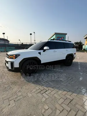 Hyundai Santa Fe Calligraphy 2024 White