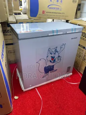 Skyrun Inverter Freezer