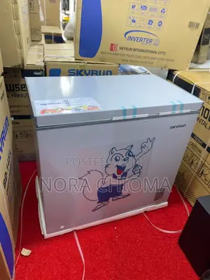 Skyrun Inverter Freezer