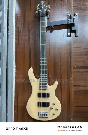 5 Strings Bass Guitar
