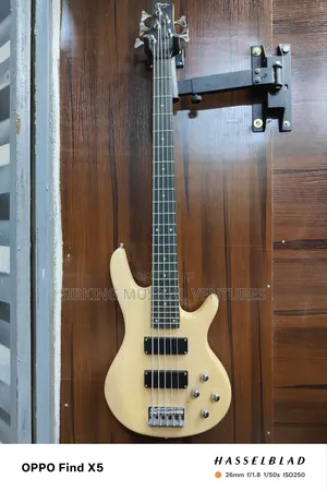 5 Strings Bass Guitar