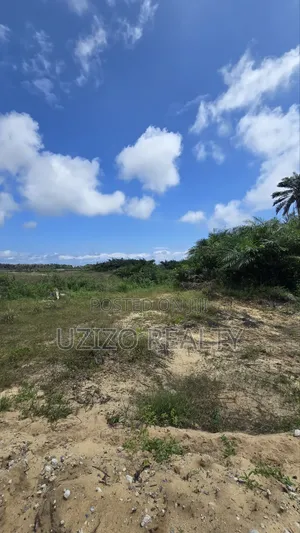 Mixed Development Dry Land