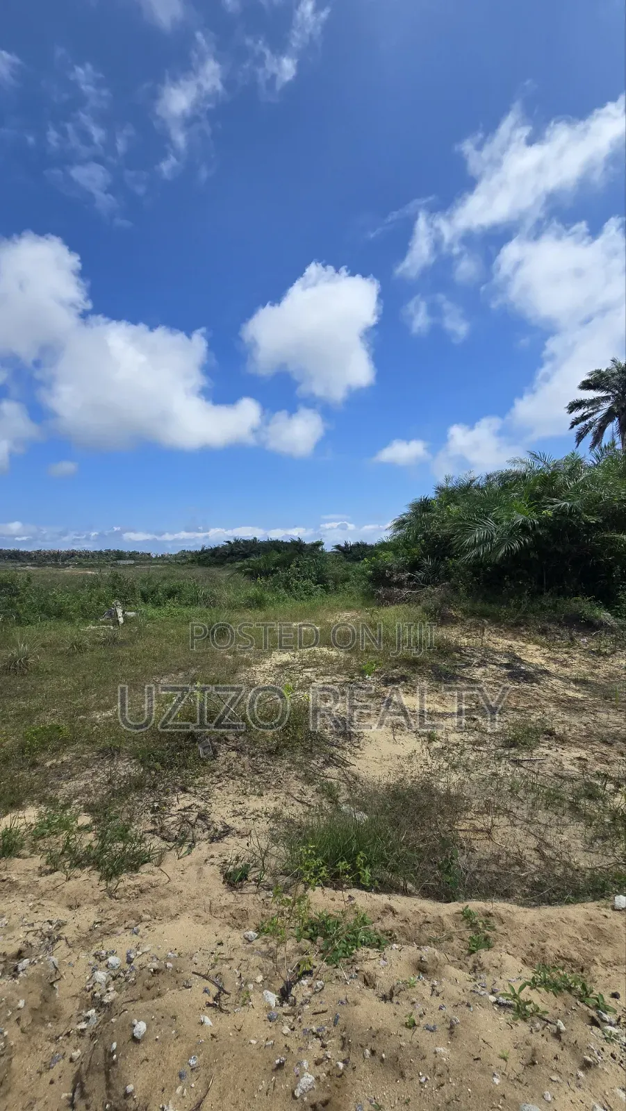 Mixed Development Dry Land