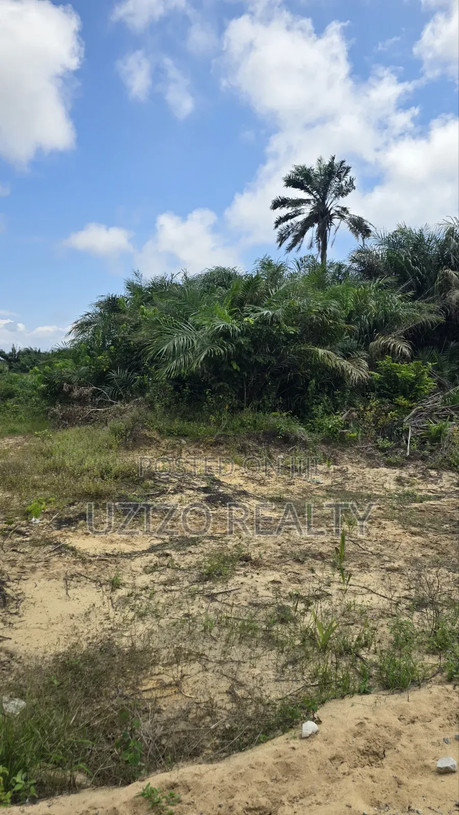 Mixed Development Dry Land