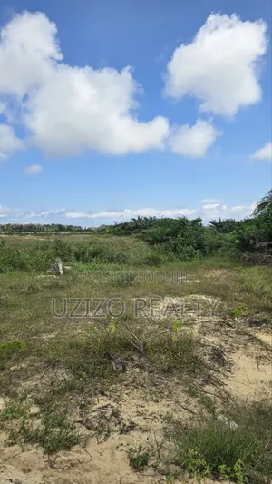 Mixed Development Dry Land