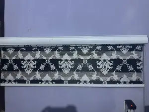 Day and Night Window Blinds