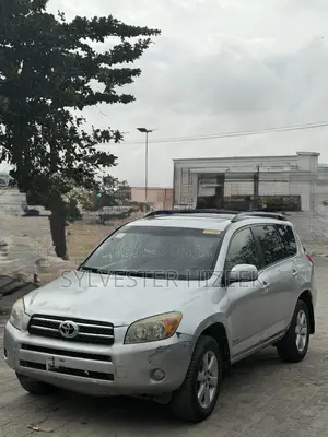 Toyota RAV4 2007 Gray