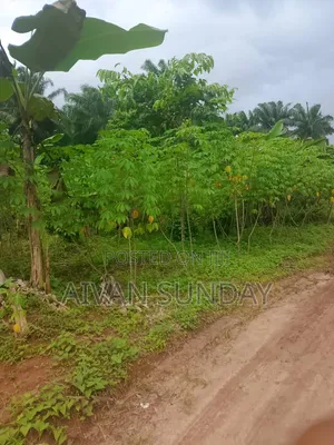 100 by 100 LAND FOR SALE