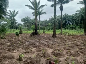 3 Plots of Land Available for Sale at Ekeakpara Osisioma Aba