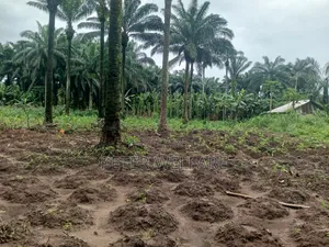 3 Plots Available for Sale at Umuagbai Osisioma Aba