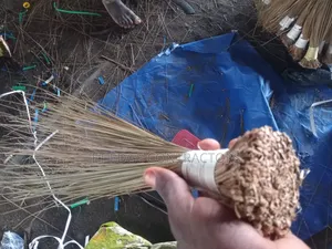 Local Broom