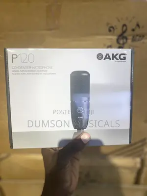 AKGP120 Studio Microphone