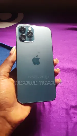 Apple iPhone 12 Pro Max 128 GB Gray