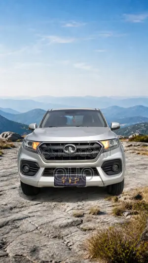 Great Wall Wingle 2020 Silver