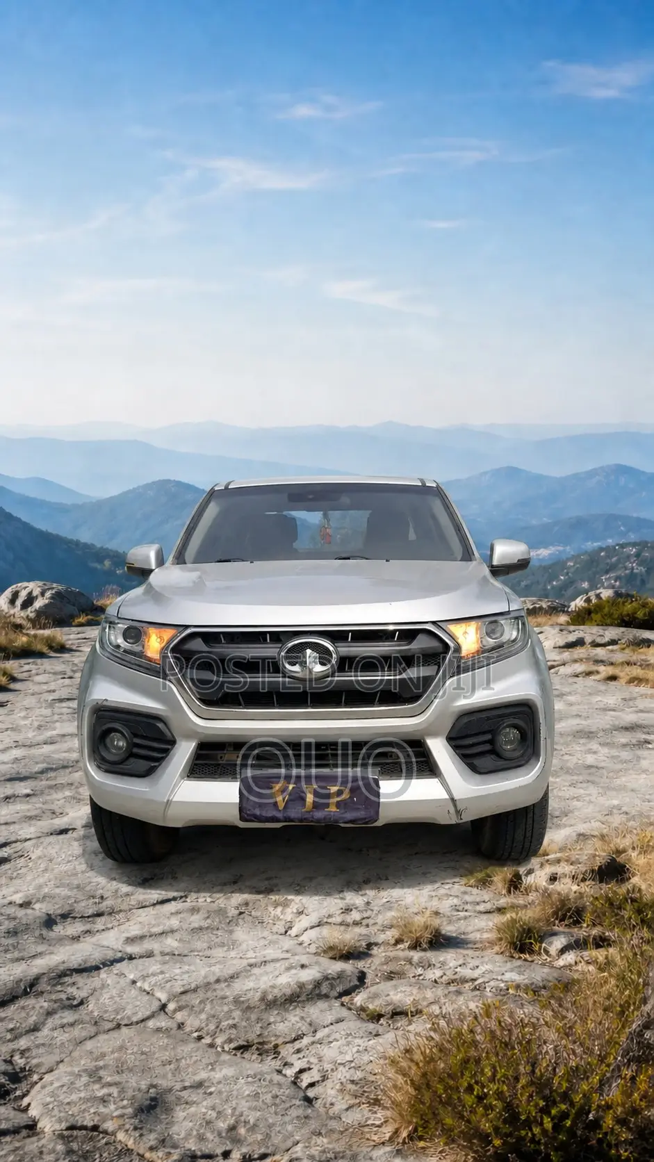 Great Wall Wingle 2020 Silver
