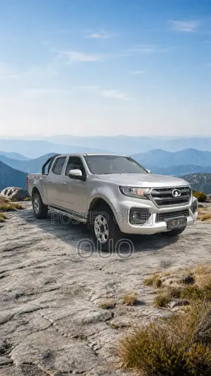 Great Wall Wingle 2020 Silver