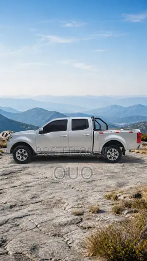 Great Wall Wingle 2020 Silver