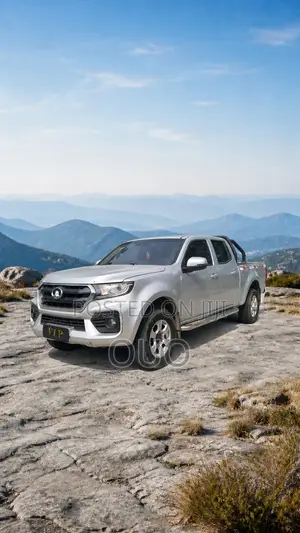 Great Wall Wingle 2020 Silver