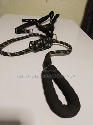 Dog Rope Leash